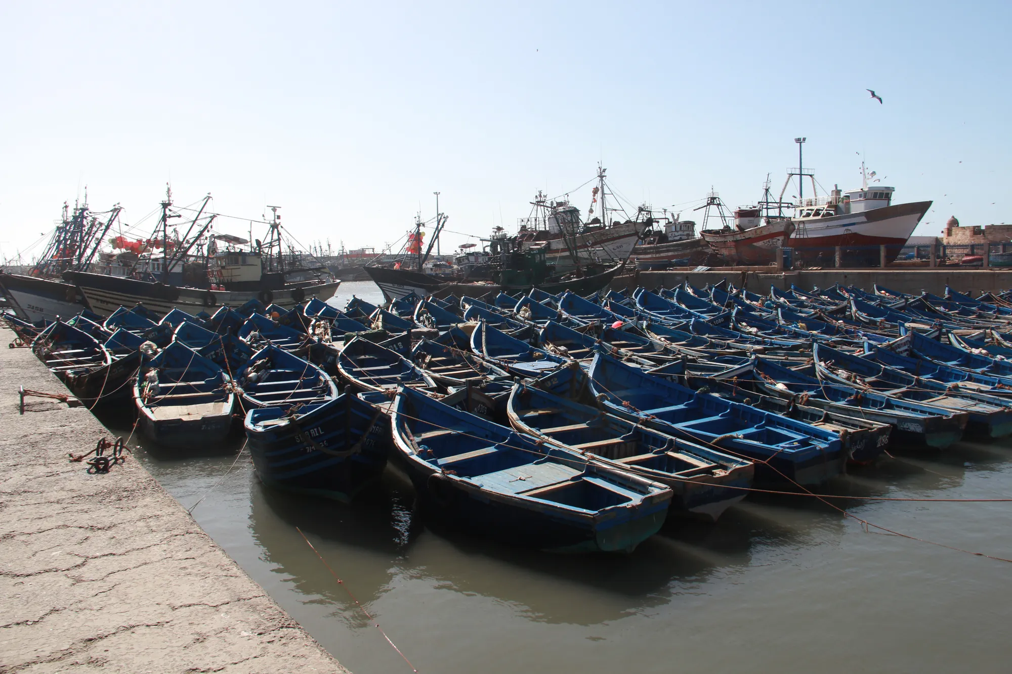 Agadir Boat Trip: Coastal Cruise with Lunch & Swimming photo 18