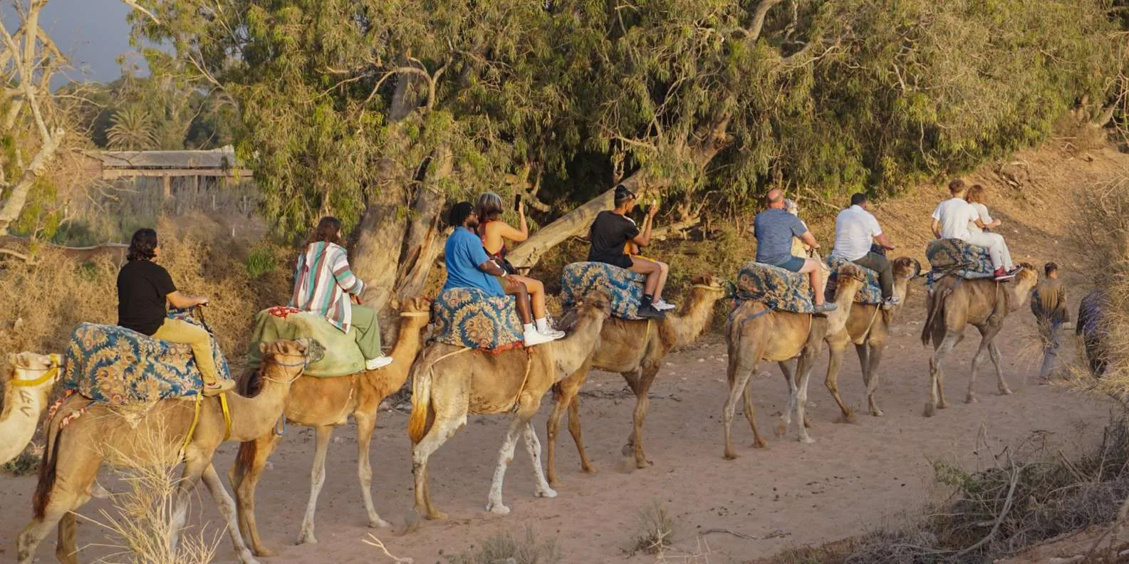 Agadir Camel Ride with Hotel Pickup & Tea photo 3