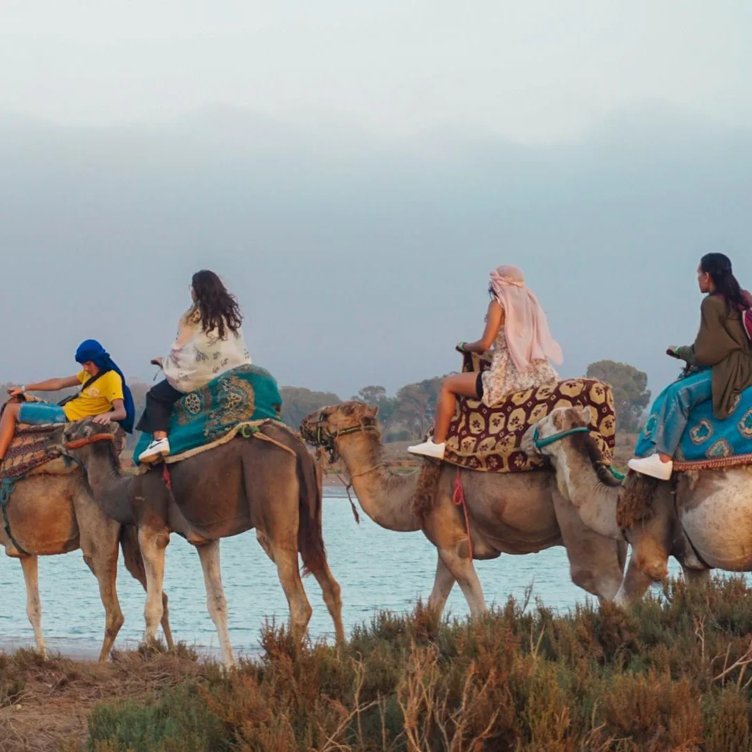Agadir Camel Ride with Hotel Pickup & Tea photo 6