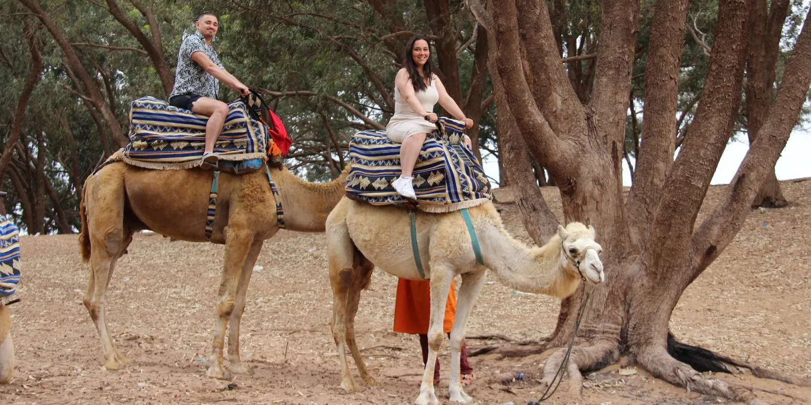 Agadir Camel Ride with Hotel Pickup & Tea photo 8
