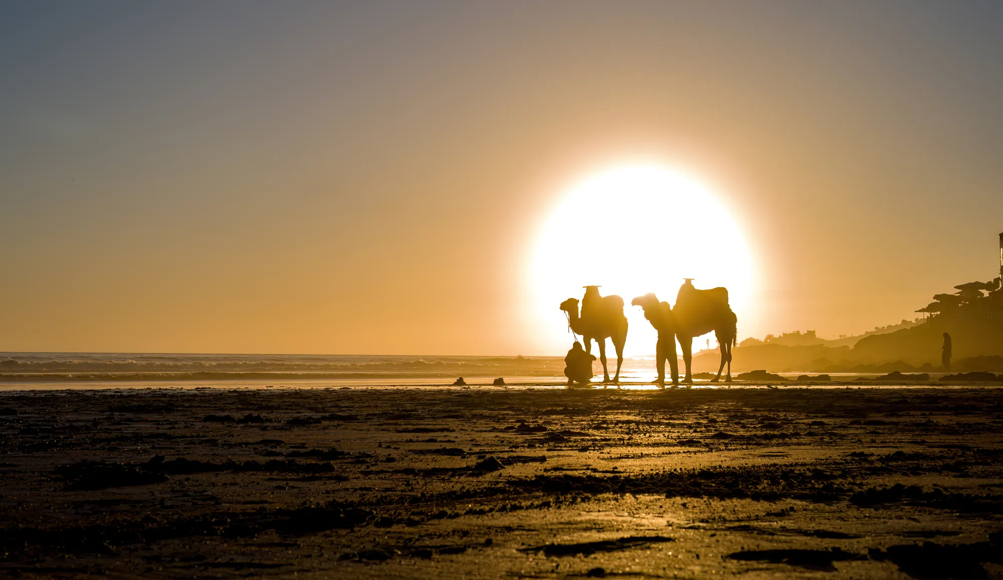 Agadir Camel Ride with Hotel Pickup & Tea photo 1