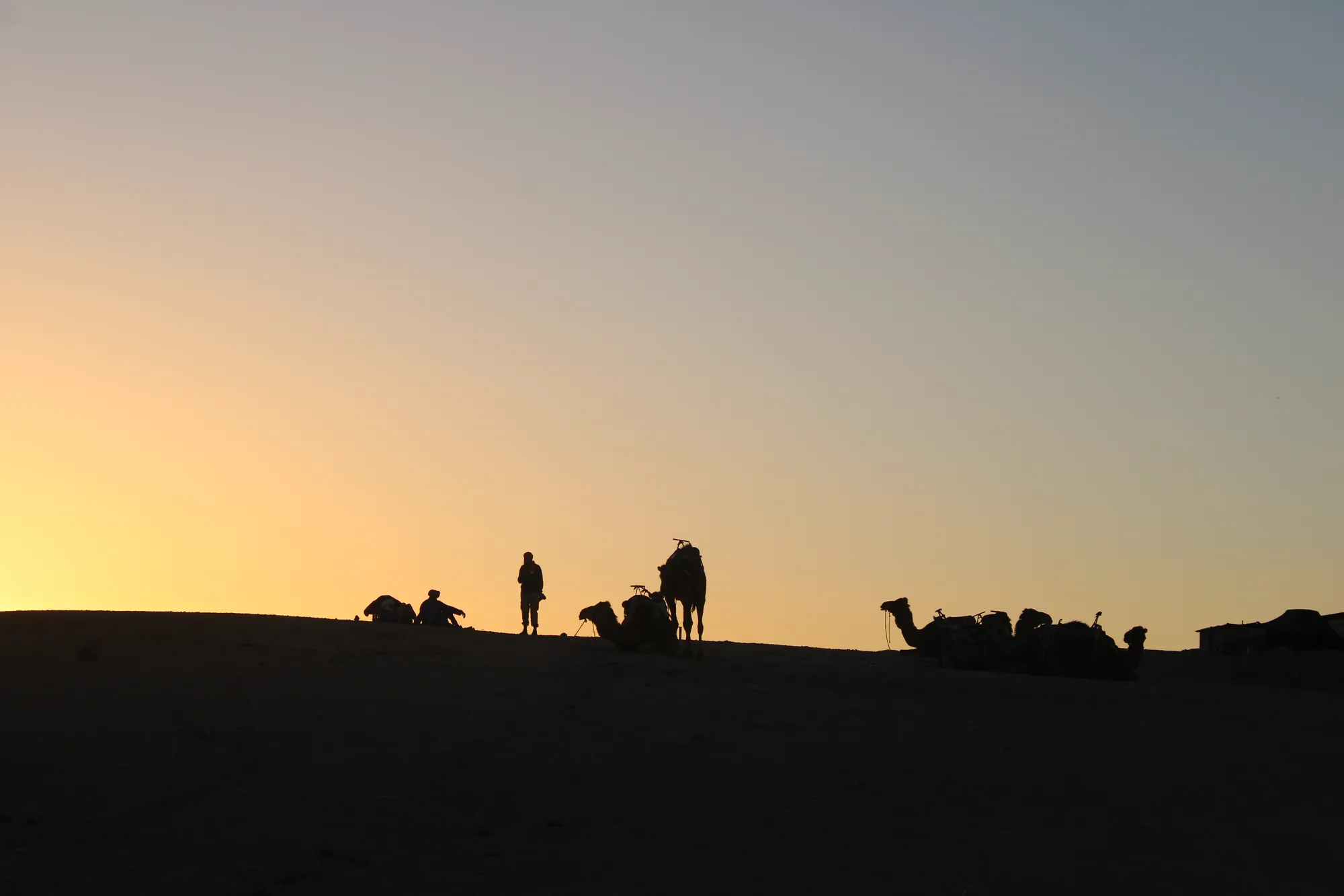Agadir Camel Ride with Hotel Pickup & Tea photo 11