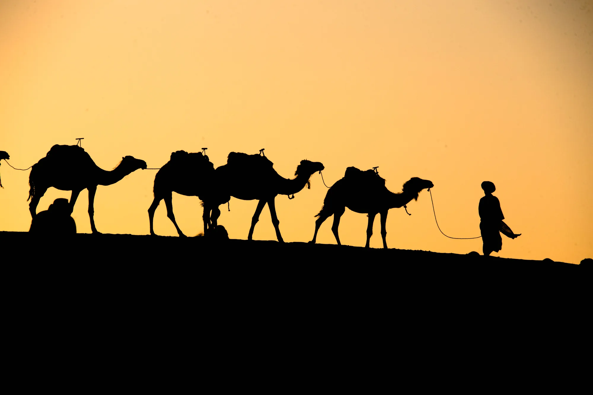 Agadir Camel Ride with Hotel Pickup & Tea photo 14