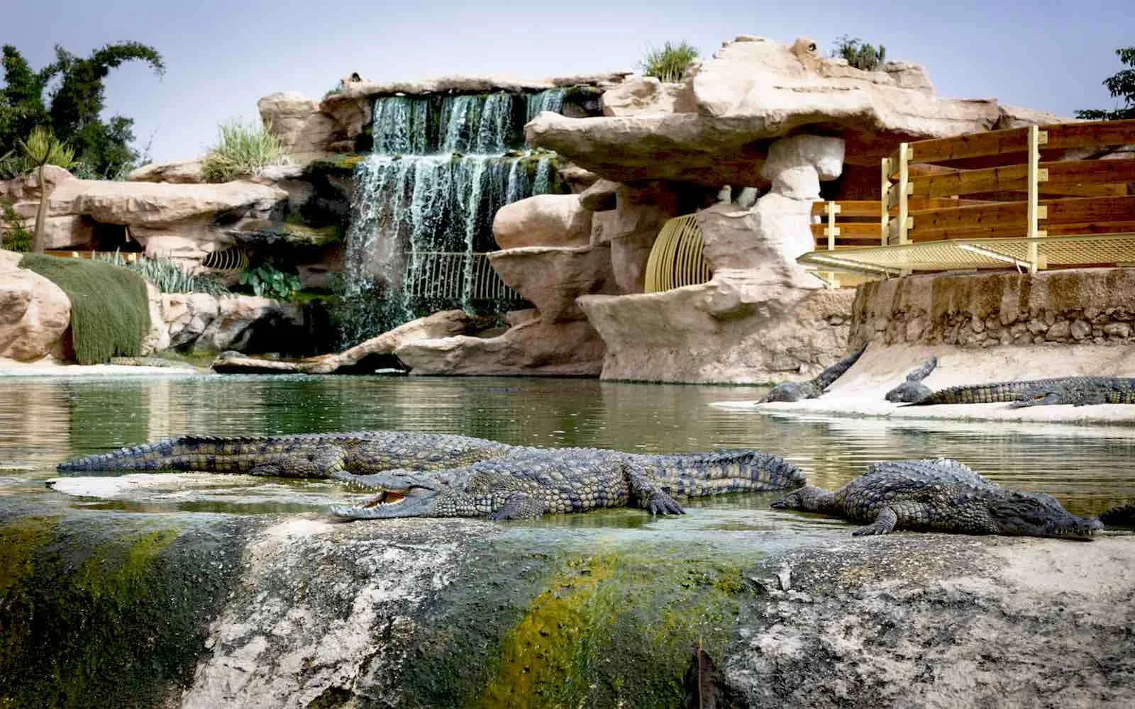 Agadir Crocoparc Tour: Nile Crocodiles & Botanical Gardens photo 1