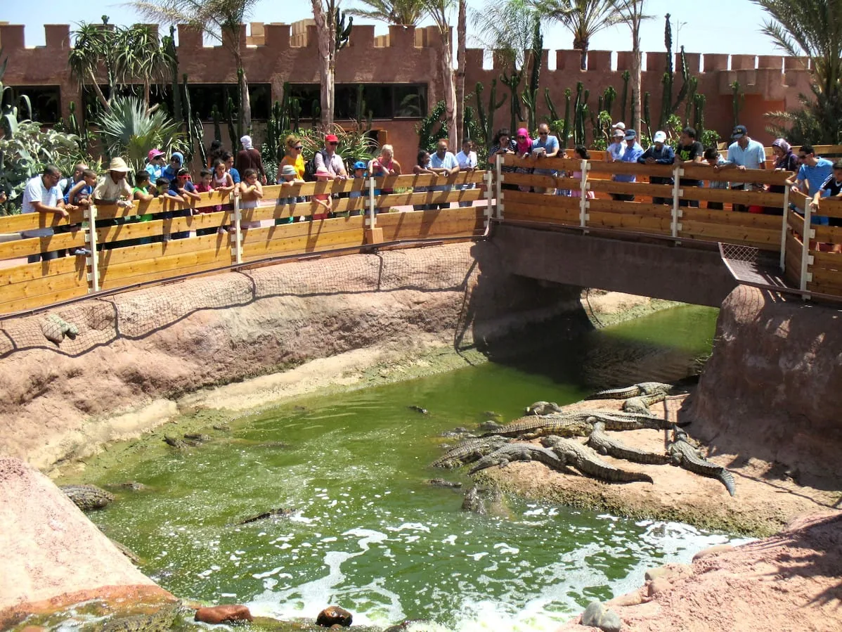 Agadir Crocoparc Tour: Nile Crocodiles & Botanical Gardens photo 2
