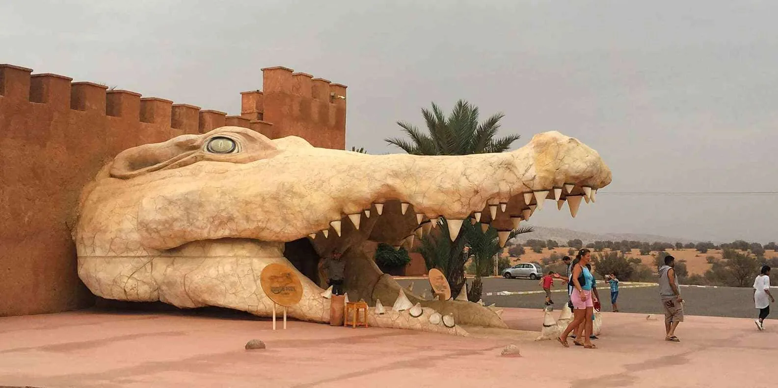 Agadir Crocoparc Tour: Nile Crocodiles & Botanical Gardens photo 6