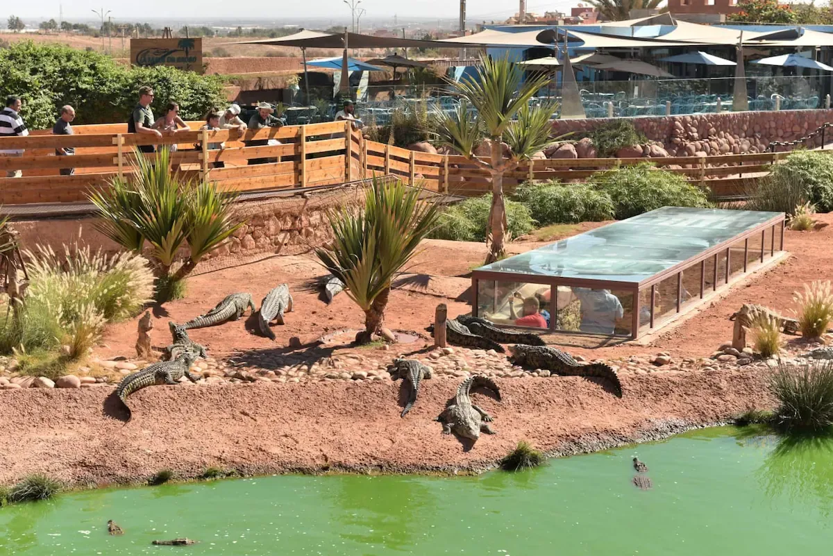 Agadir Crocoparc Tour: Nile Crocodiles & Botanical Gardens photo 7
