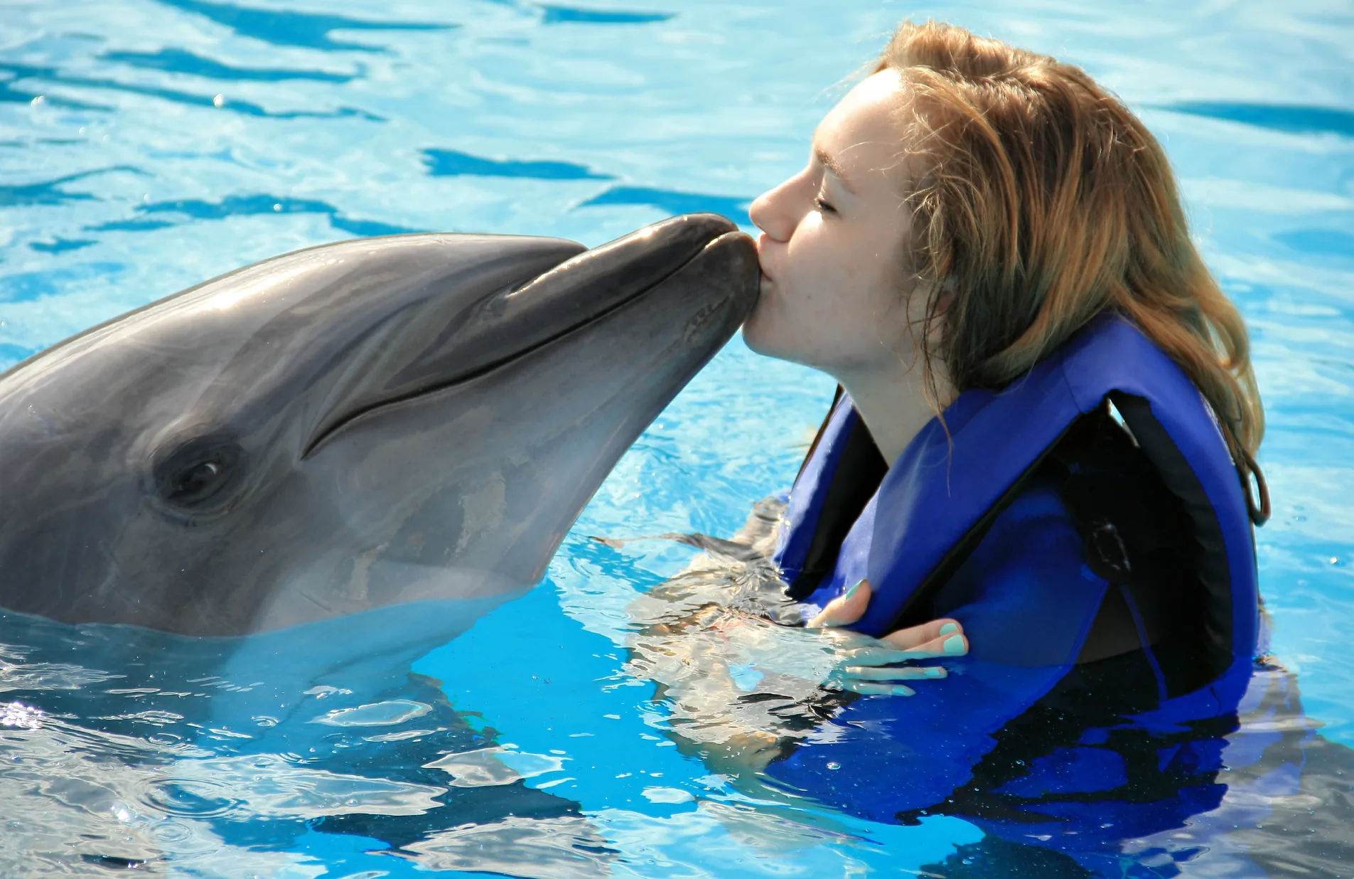 Agadir Dolphin Show: Dolphin World Park Visit photo 11