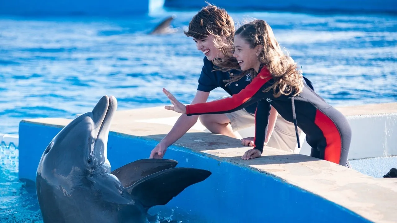 Agadir Dolphin Show: Dolphin World Park Visit photo 5