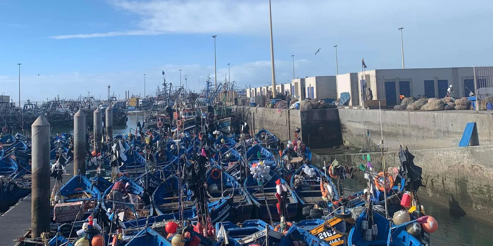 Essaouira Day Trip from Agadir photo 8