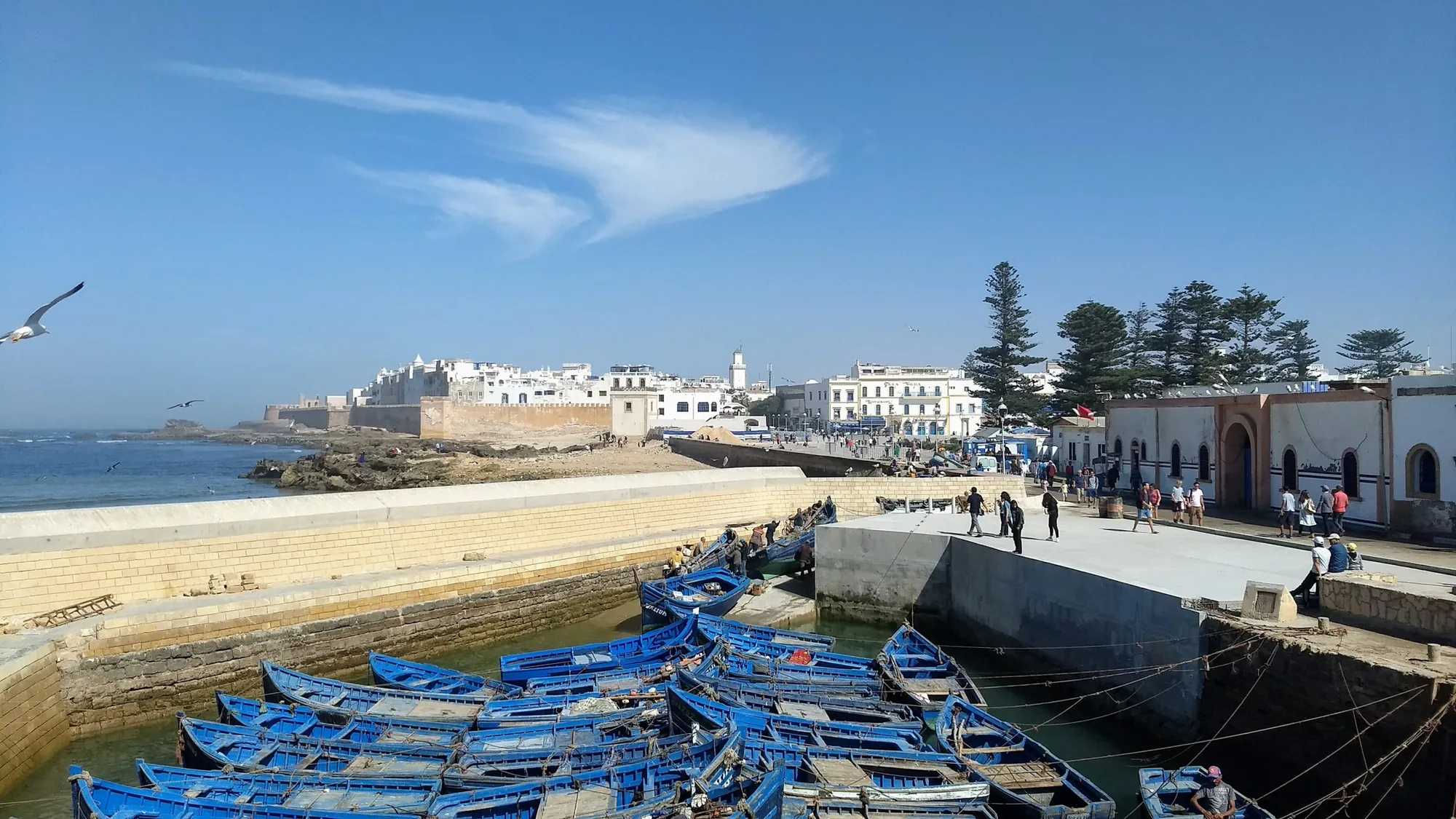 Essaouira Day Trip from Agadir photo 4