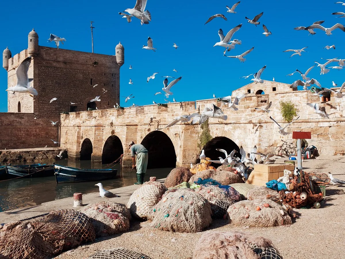 Essaouira Day Trip from Agadir photo 7