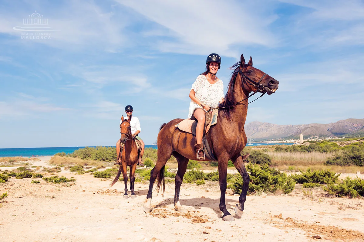 Agadir Horse Riding: Beach Ride with Hotel Pickup photo 1