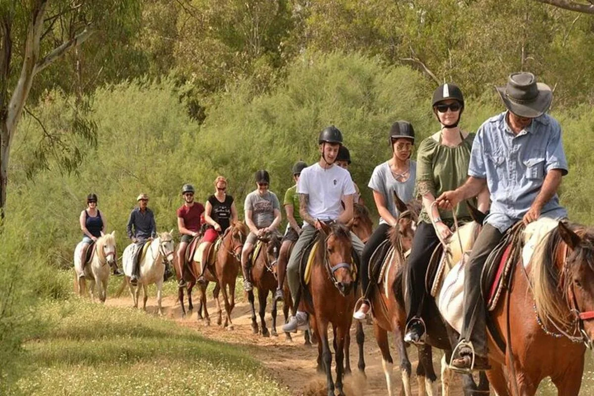 Agadir Horse Riding: Beach Ride with Hotel Pickup photo 2