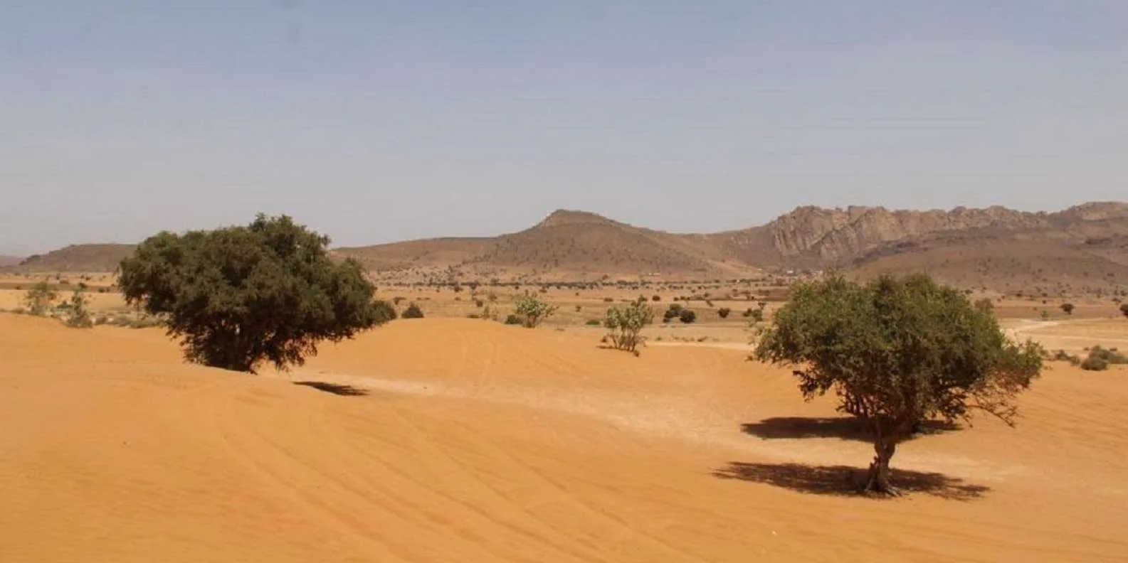 Agadir Mini Sahara Tour: Desert, Tiznit & Berber Lunch photo 9