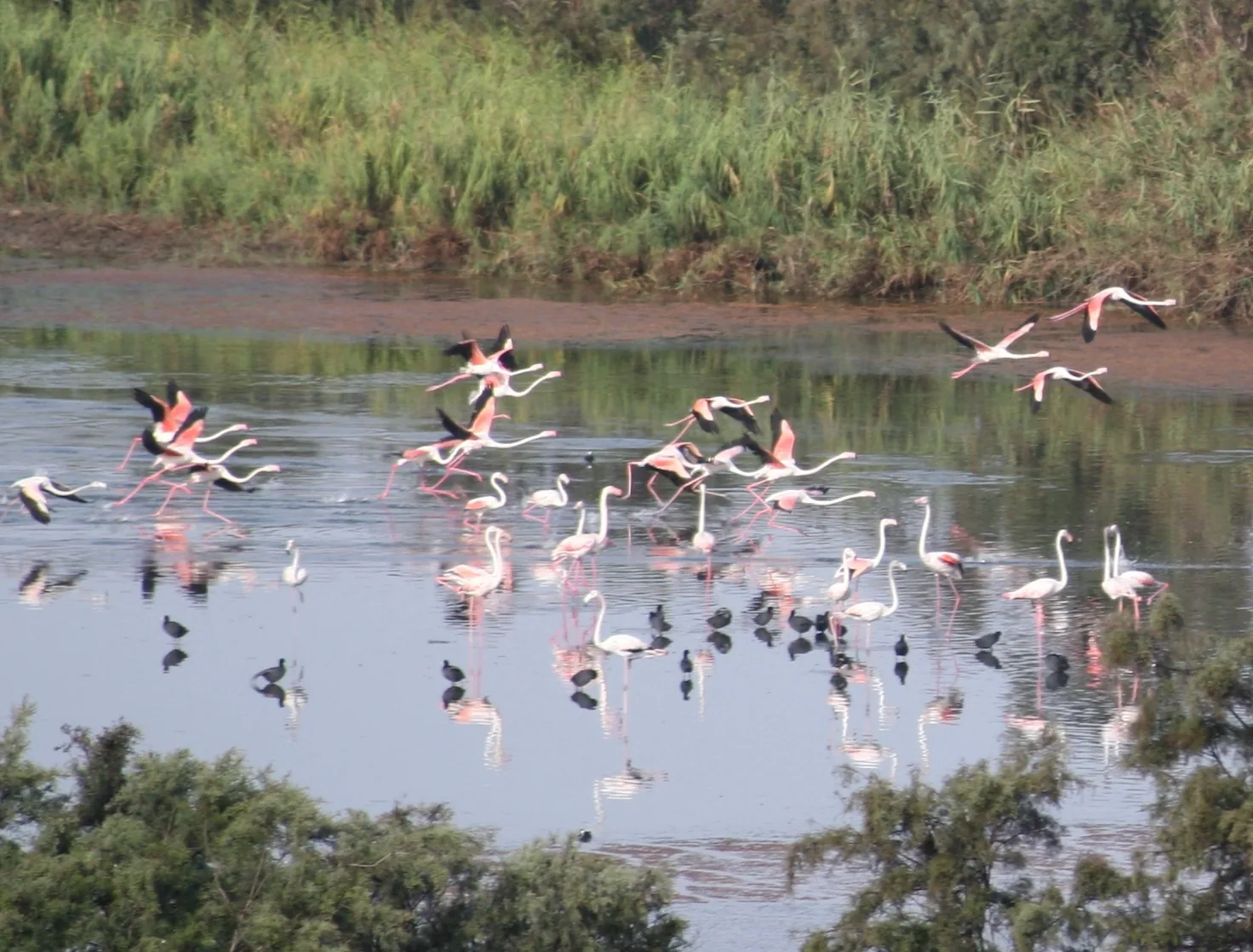 Souss Massa National Park Tour from Agadir: Wildlife & Birds photo 4