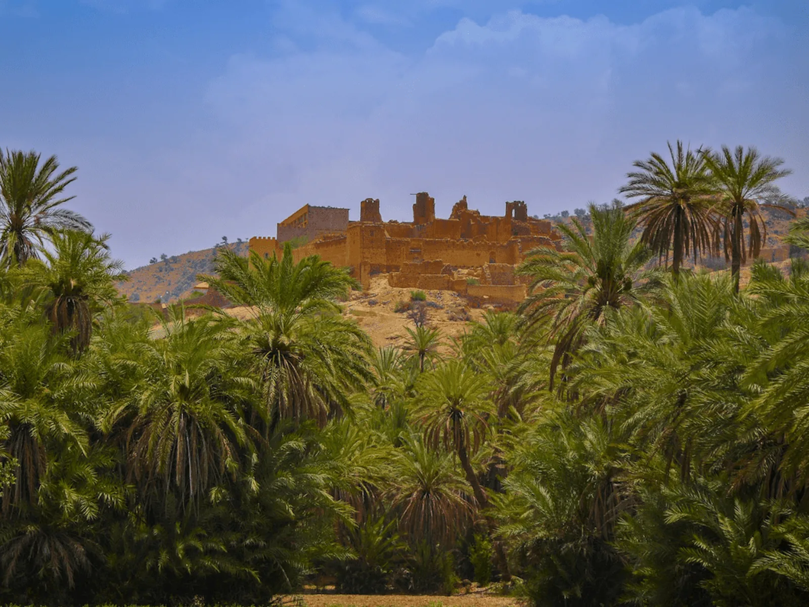 Taroudant and Tiout Day Trip from Agadir photo 12